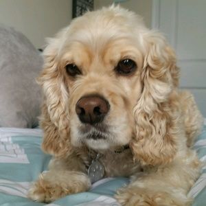 Meet your Posher, Greg